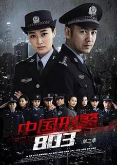 免费在线观看完整版大陆剧《中国刑警803英雄本色》