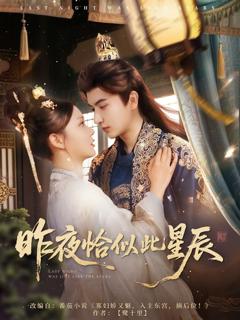 免费在线观看《昨夜恰似此星辰》