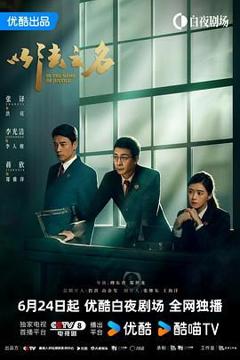 免费在线观看完整版大陆剧《以法之名》