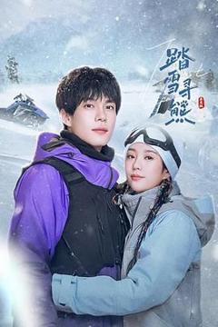免费在线观看完整版大陆剧《踏雪寻熊》