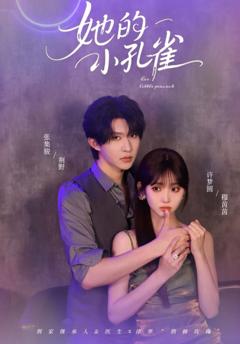 免费在线观看《她的小孔雀》