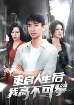 免费在线观看《重启人生后我高不可攀》
