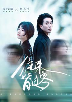免费在线观看《往来皆过客》