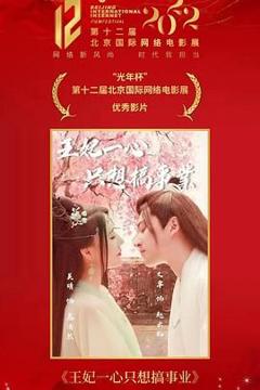免费在线观看完整版大陆剧《王妃一心只想搞事业》