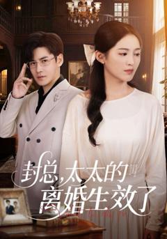 免费在线观看《封总太太的离婚生效了》