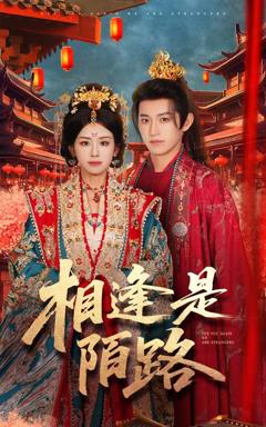 免费在线观看《相逢是陌路》
