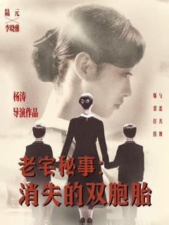 免费在线观看《老宅秘事消失的双胞胎（消失的孩子）》