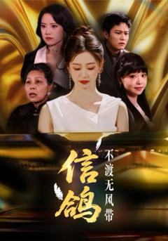 免费在线观看《信鸽不渡无风带》