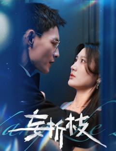 免费在线观看《妄折枝》