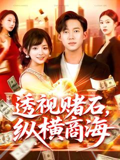 免费在线观看《透视赌石纵横商海》