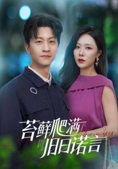 免费在线观看《苔藓爬满旧日诺言》