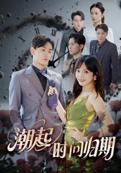 免费在线观看《潮起时问归期》