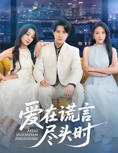 免费在线观看《爱在谎言尽头时》