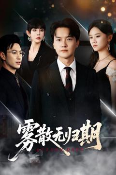 免费在线观看《雾散无归期》