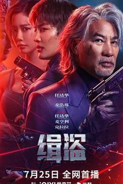 免费在线观看《缉盗》