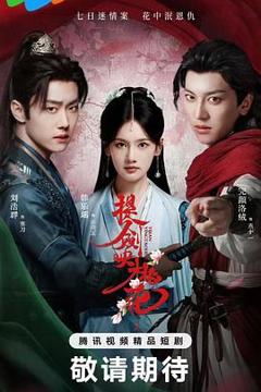 免费在线观看完整版大陆剧《提剑映桃花》