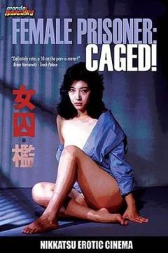 免费在线观看《火辣监狱》