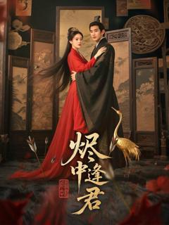 免费在线观看《烬中逢君》