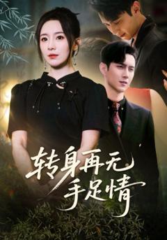 免费在线观看《转身再无手足情》