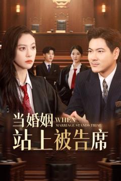 免费在线观看《当婚姻站上被告席》