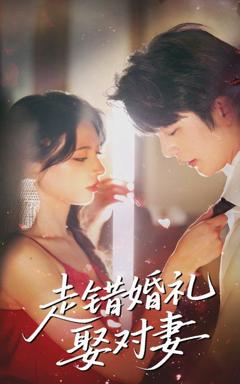 免费在线观看《走错婚礼娶对妻》
