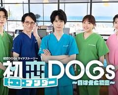 免费在线观看完整版日剧《初恋UNDER DOGs 败犬与初恋》