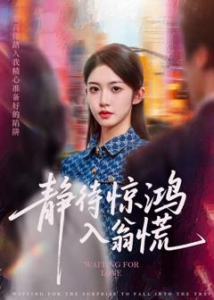 免费在线观看《静待惊鸿入翁慌》