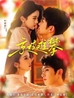 免费在线观看《京枝难攀》