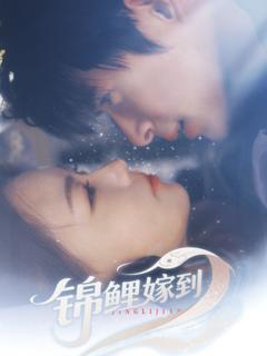 免费在线观看《锦鲤嫁到》