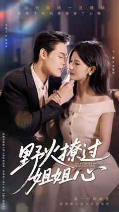 免费在线观看《野火撩过姐姐心》