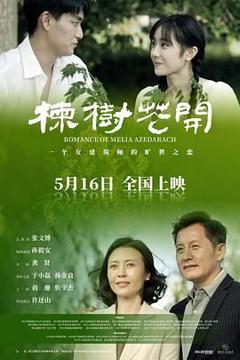 免费在线观看《楝树花开》