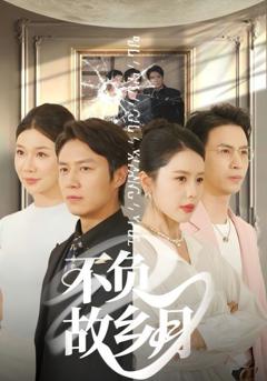 免费在线观看《不负故乡月》