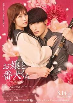 免费在线观看《大小姐和看门犬》