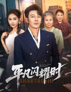 免费在线观看《平凡闪耀时》