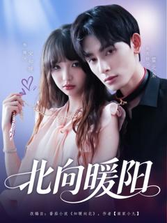 免费在线观看《北向暖阳》