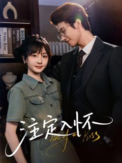免费在线观看《注定入怀》