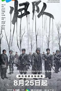 免费在线观看完整版大陆剧《归队》