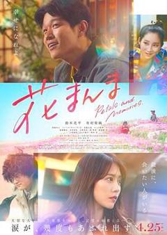 免费在线观看《花便当》