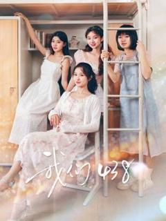 免费在线观看完整版大陆剧《我们438》