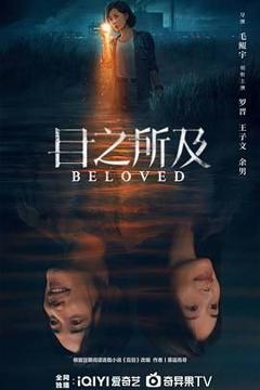 免费在线观看完整版大陆剧《目之所及》