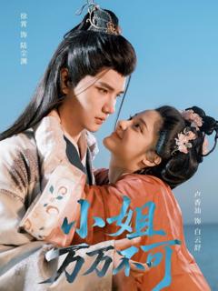免费在线观看《小姐万万不可》