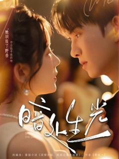 免费在线观看《暗处生光》