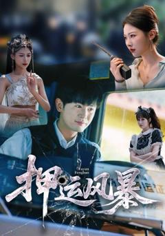 免费在线观看《押运风暴》