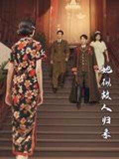 免费在线观看《她似故人归来》