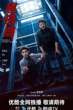 免费在线观看完整版大陆剧《黑白局》