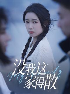 免费在线观看《没我这家得散》