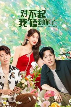 免费在线观看完整版大陆剧《对不起，我磕到你了》