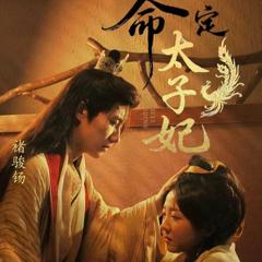 免费在线观看《命定太子妃》