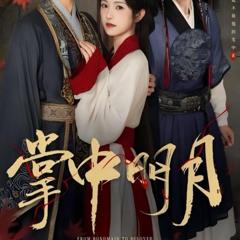 免费在线观看《掌中明月》