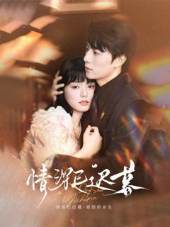 免费在线观看《情深已迟暮》